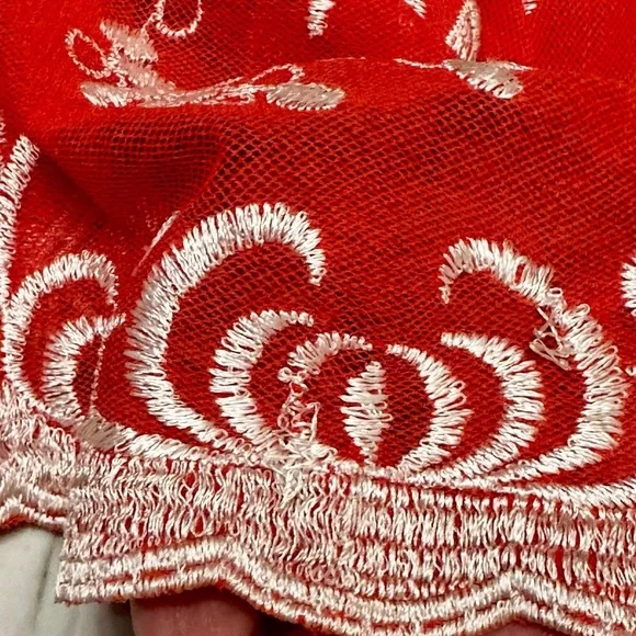 Elegant Coral Embroidered Midi Skirt Lacy Bohemian Chic Coastal Grandma Modest - Picture 4 of 6